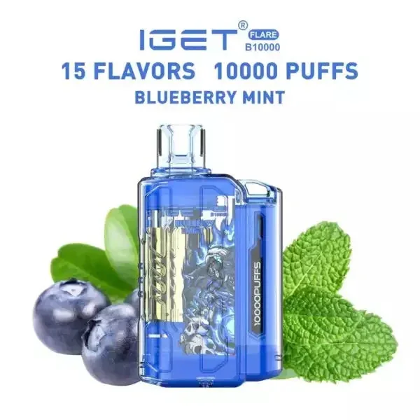 Iget Flare B10000 – Blueberry Mint - Buy Authentic Vape in Bengaluru - Vape Shop Bengaluru