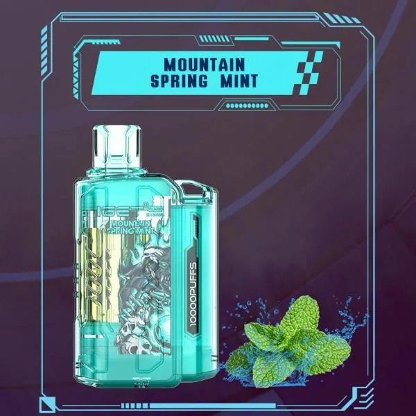 Iget Flare B10000 – Mountain Spring Mint - Buy Authentic Vape in Bengaluru - Vape Shop Bengaluru